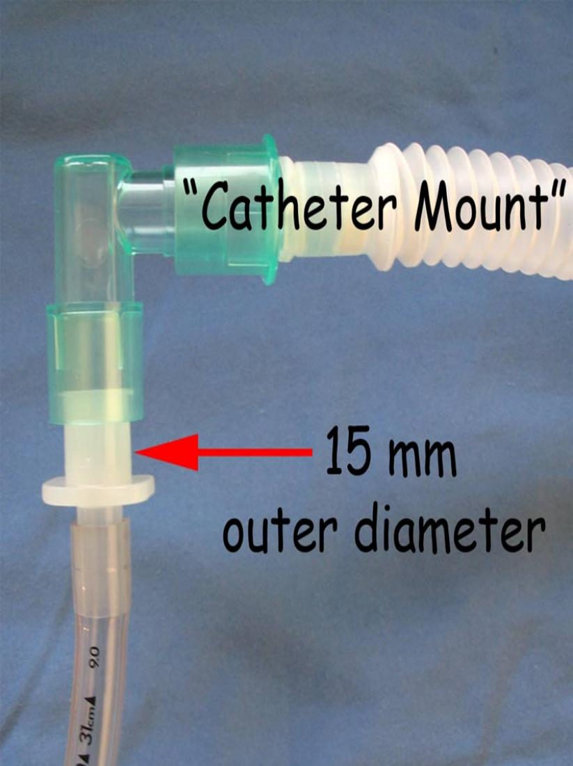 catheter mount