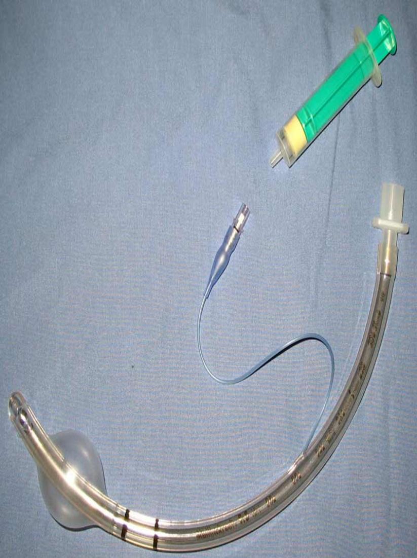 endotracheal tube