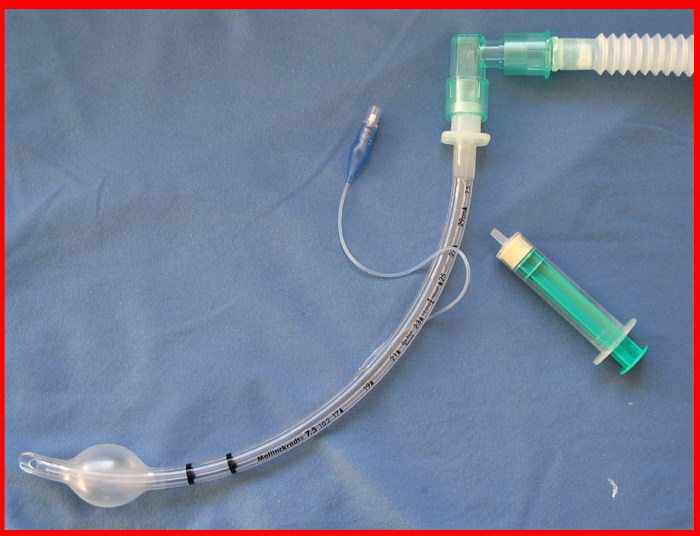 catheter mount